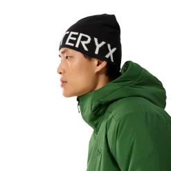 Arc'teryx Word Head Toque, hue (Orca)-ARCTERYX Hot