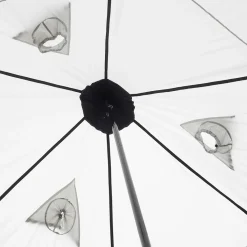Startent-ASIVIK Online