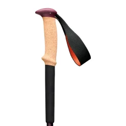 Trail Cork vandrestave (Fig)-BLACK DIAMOND Best