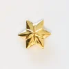De grønne pigespejdere Årsstjerne 25 år - Guld-DEGRØNNEPIGESPEJDERE Online