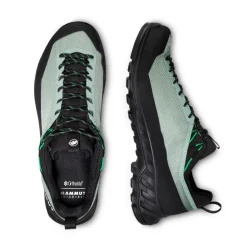 Alnasca IV Low GTX approachsko, herre (Deep Silver Sage / Pinea)-MAMMUT