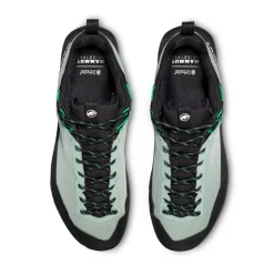 Alnasca IV Low GTX approachsko, herre (Deep Silver Sage / Pinea)-MAMMUT