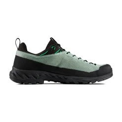 Alnasca IV Low GTX approachsko, herre (Deep Silver Sage / Pinea)-MAMMUT