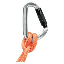 Classic HMS Twistlock Plus Karabin-MAMMUT Discount