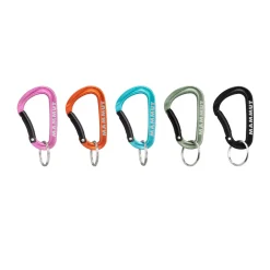 Mini Carabiner Classic Keylock S-MAMMUT Hot