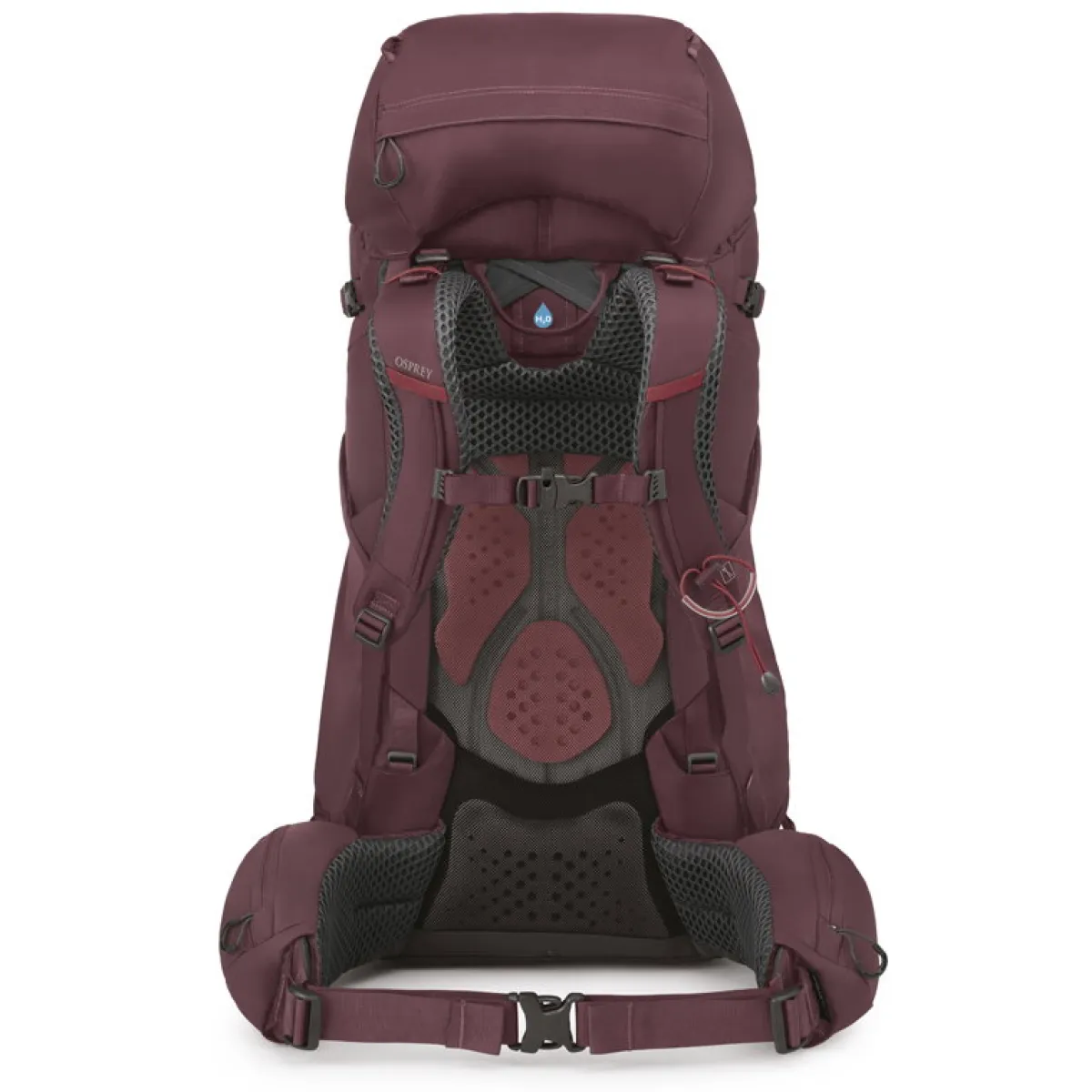 Kyte 58 L rygsæk, dame (Elderberry / Purple)-OSPREY Clearance