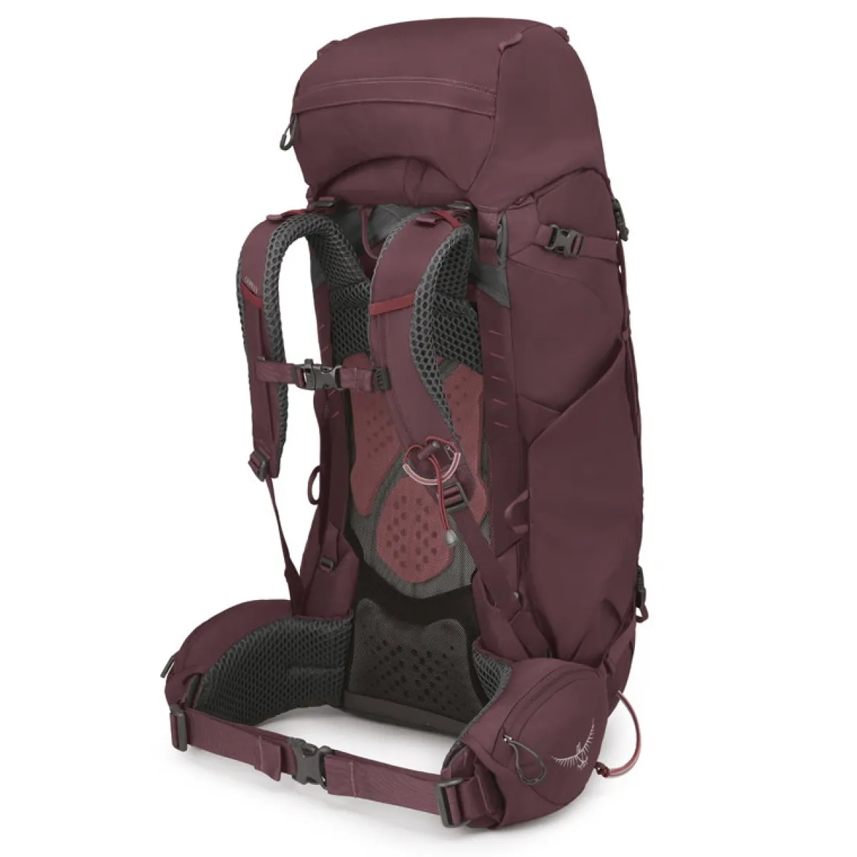 Kyte 58 L rygsæk, dame (Elderberry / Purple)-OSPREY Clearance