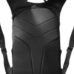 Trailblazer 10 L rygsæk (Black)-SALOMON